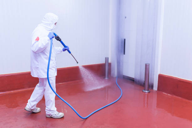 Paint Preparation in Dana, NC