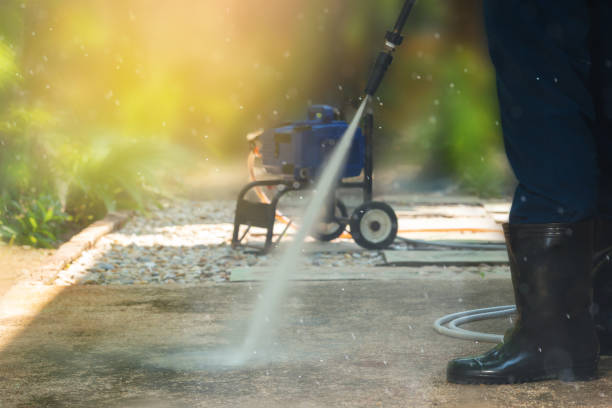 Best Sidewalk and Walkway Cleaning  in Dana, NC